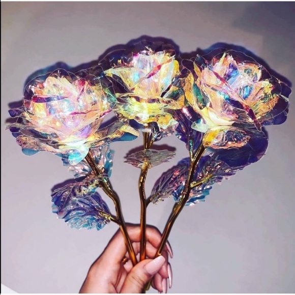 🌈🌹 iridescent multicolor rose flower rainbow - Picture 3 of 8